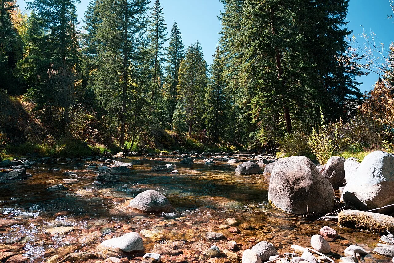 Rocky Gore Creek surrounded by evergreen trees in Vail, Colorado.