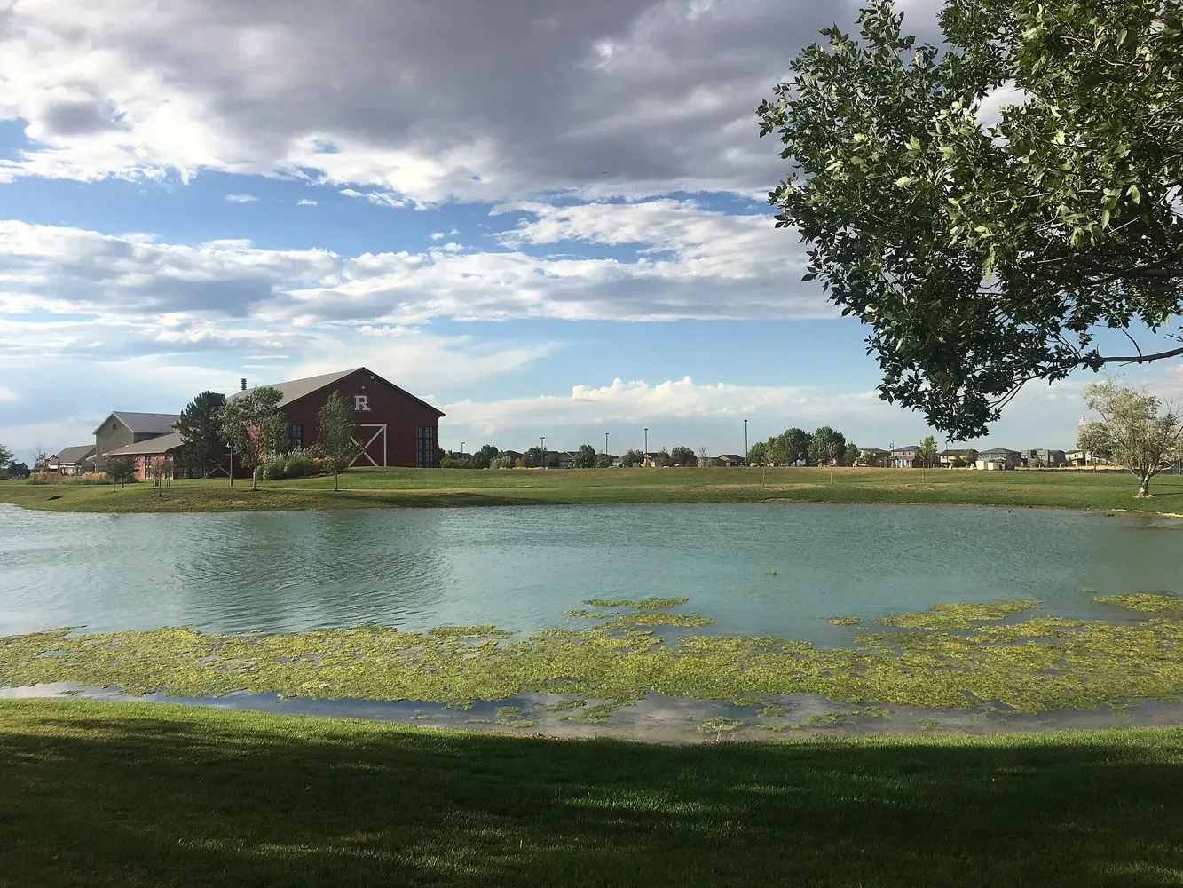 Lake and landscaped shoreline in Reunion, Commerce City