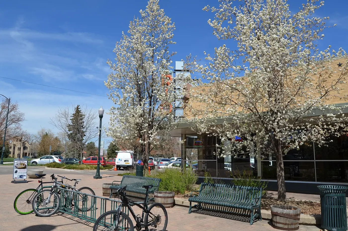 Bicycle racks, trees and a seating area in downtown Greeley, Colorado
