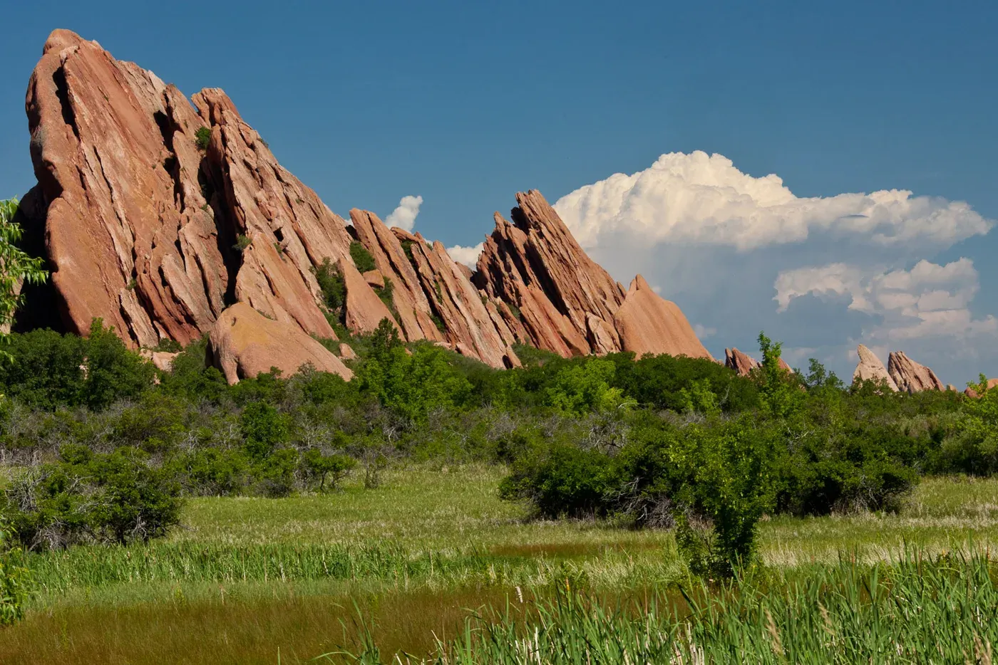 Red sandstone formations beside Fountain Valley Trail in Roxborough State Park
