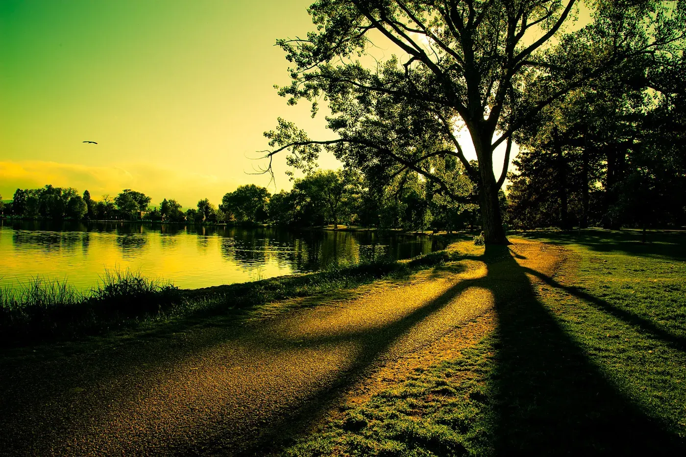 Sunset along a lake path at Washington Park in Denver
