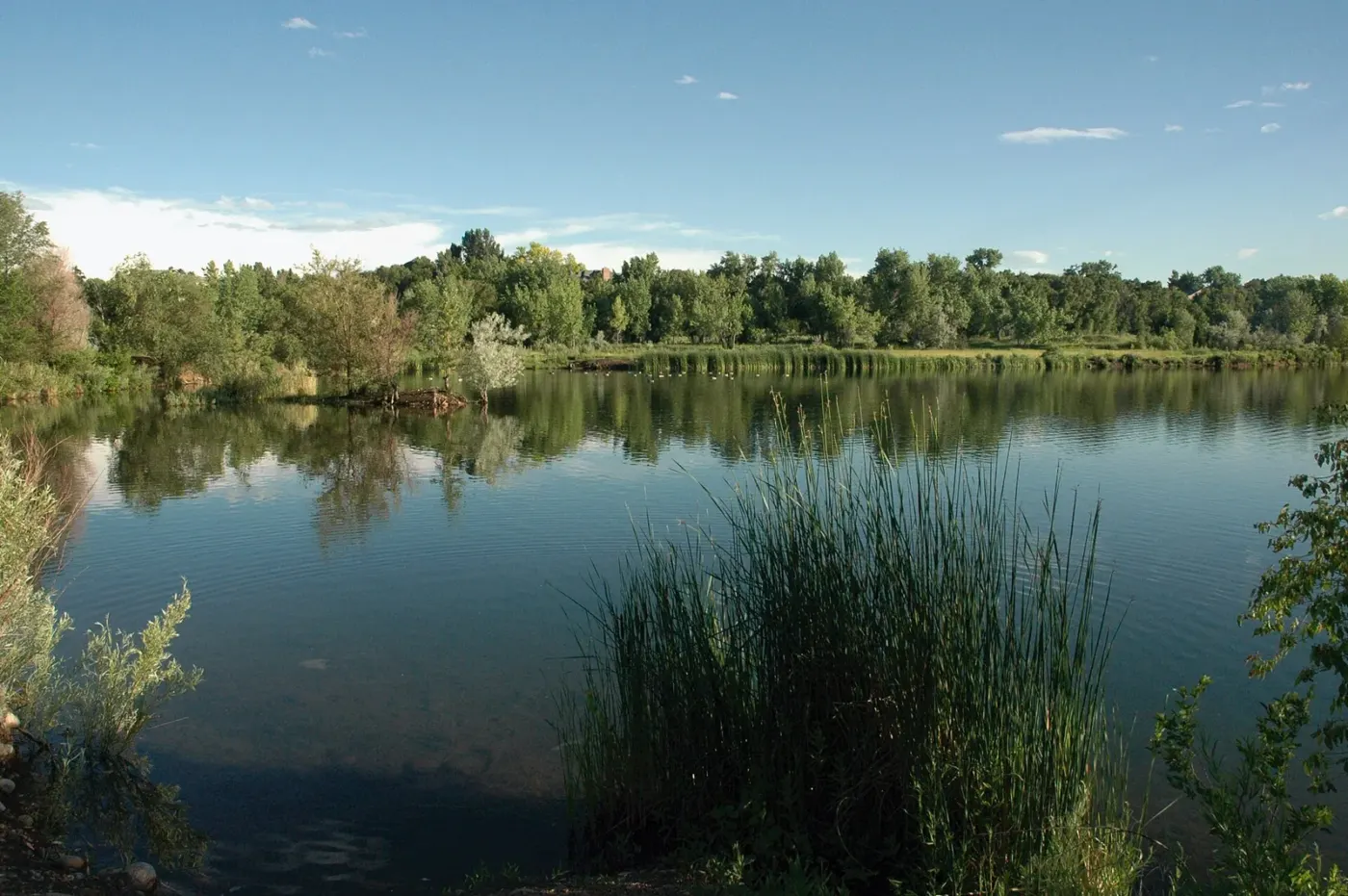 Trees reflected in West Lake at Prospect Park, Wheat Ridge, Colorado